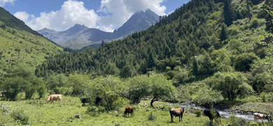 Bawang Valley