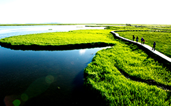 《Guiding Opinions on Establishing a Nature Reserve System with National Parks as the Main Body》